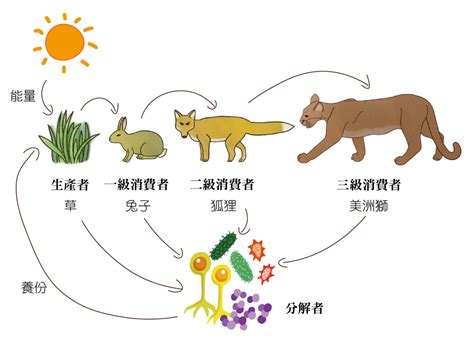 植物與人的關係|生物共同體：土地、動物與人的相互依存 